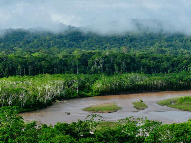 reserva amazónica selva